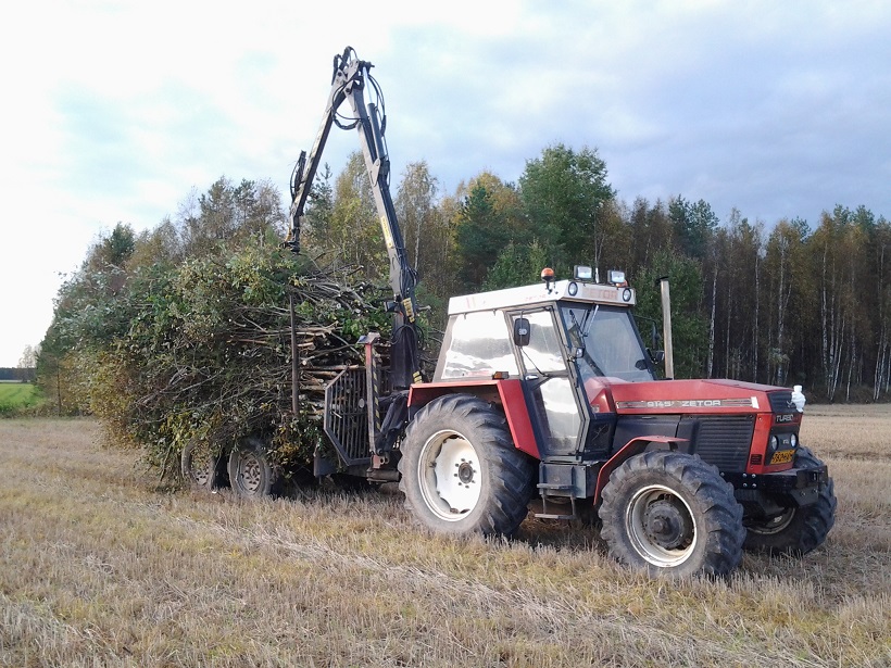 2013-09-16 18.19.45.jpg