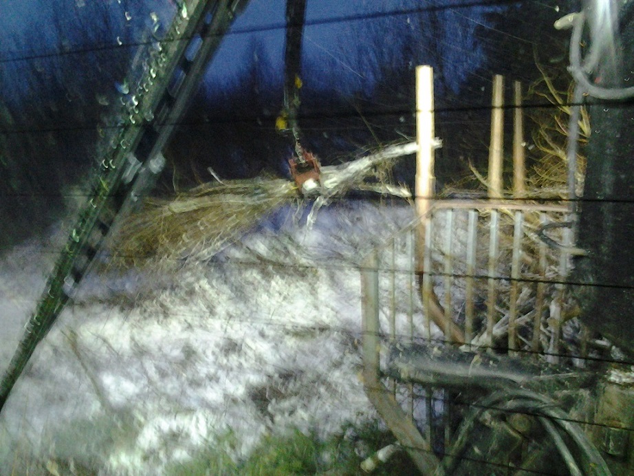 2013-11-28 15.25.40.jpg