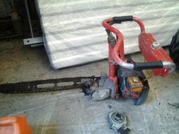 Citikka ja saha 014.jpg